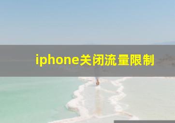 iphone关闭流量限制