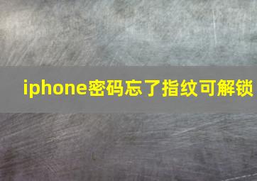 iphone密码忘了指纹可解锁