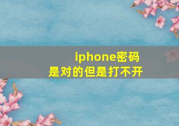 iphone密码是对的但是打不开