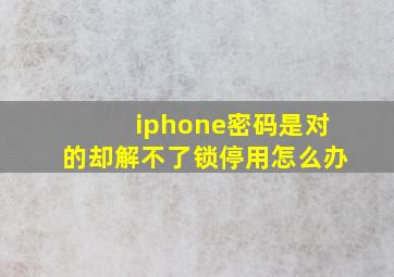 iphone密码是对的却解不了锁停用怎么办