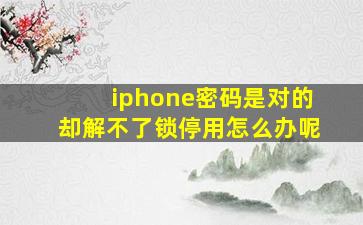 iphone密码是对的却解不了锁停用怎么办呢