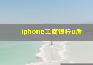 iphone工商银行u盾