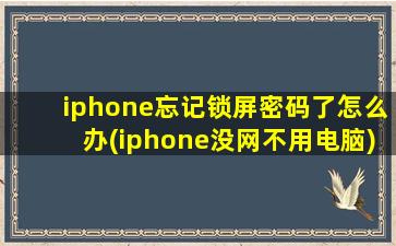 iphone忘记锁屏密码了怎么办(iphone没网不用电脑)