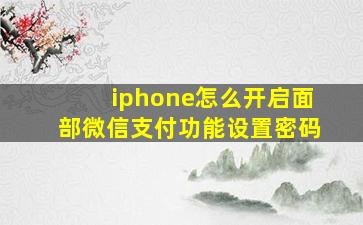 iphone怎么开启面部微信支付功能设置密码