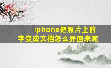 iphone把照片上的字变成文档怎么弄回来呢