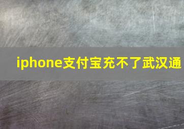 iphone支付宝充不了武汉通