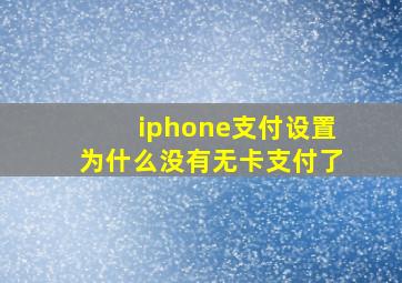 iphone支付设置为什么没有无卡支付了