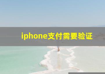 iphone支付需要验证