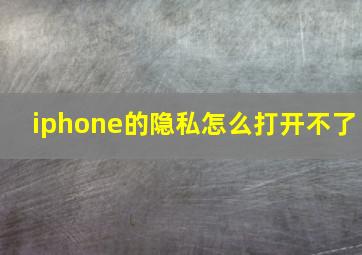 iphone的隐私怎么打开不了