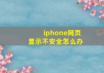 iphone网页显示不安全怎么办