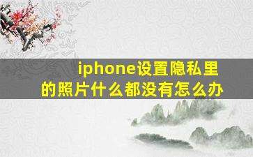 iphone设置隐私里的照片什么都没有怎么办