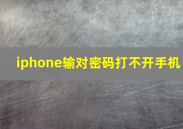 iphone输对密码打不开手机