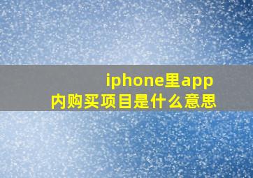 iphone里app内购买项目是什么意思