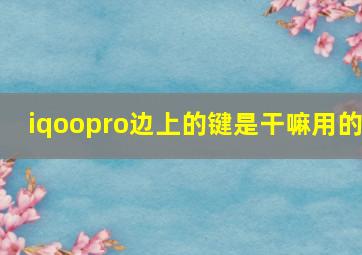 iqoopro边上的键是干嘛用的