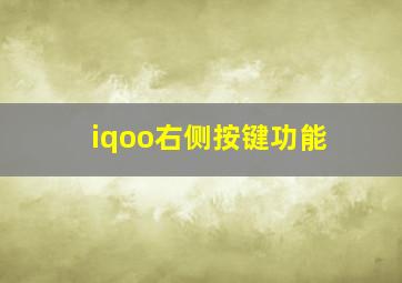 iqoo右侧按键功能