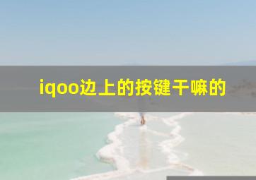 iqoo边上的按键干嘛的