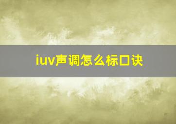 iuv声调怎么标口诀