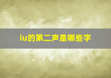 iu的第二声是哪些字