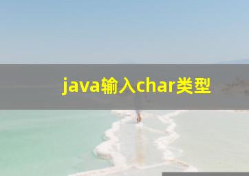 java输入char类型