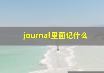 journal里面记什么