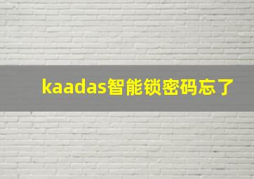 kaadas智能锁密码忘了