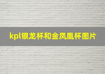 kpl银龙杯和金凤凰杯图片