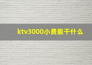 ktv3000小费能干什么