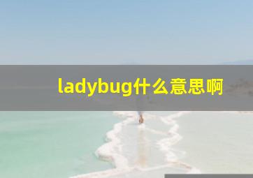 ladybug什么意思啊