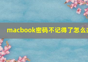 macbook密码不记得了怎么办