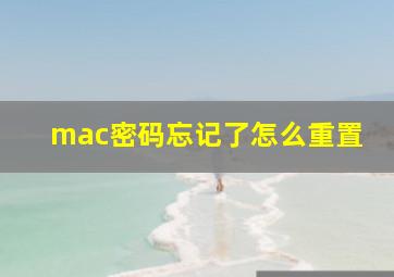 mac密码忘记了怎么重置