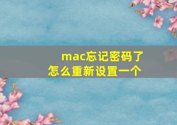 mac忘记密码了怎么重新设置一个