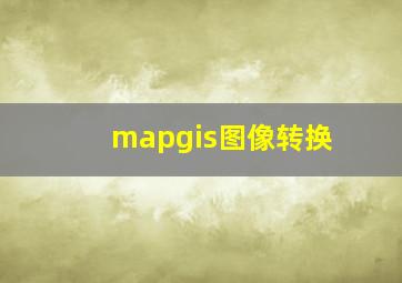 mapgis图像转换