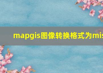 mapgis图像转换格式为mis