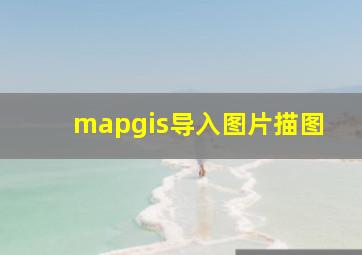 mapgis导入图片描图