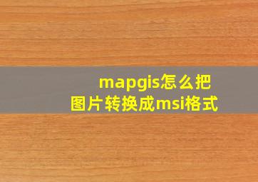 mapgis怎么把图片转换成msi格式