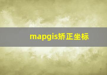 mapgis矫正坐标