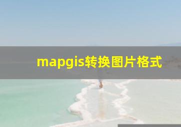 mapgis转换图片格式