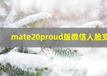 mate20proud版微信人脸支付