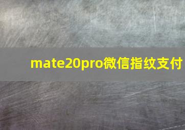 mate20pro微信指纹支付