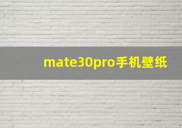 mate30pro手机壁纸