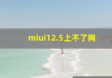 miui12.5上不了网