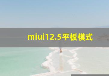 miui12.5平板模式