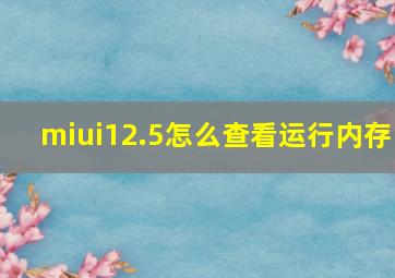 miui12.5怎么查看运行内存