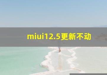 miui12.5更新不动