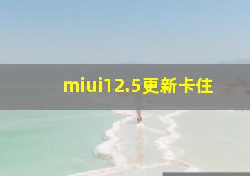 miui12.5更新卡住