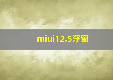 miui12.5浮窗