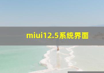 miui12.5系统界面