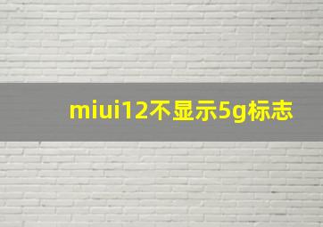 miui12不显示5g标志