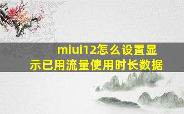 miui12怎么设置显示已用流量使用时长数据