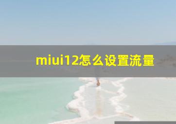 miui12怎么设置流量